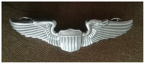 Aaf ww2 brevet - pilote, veste
